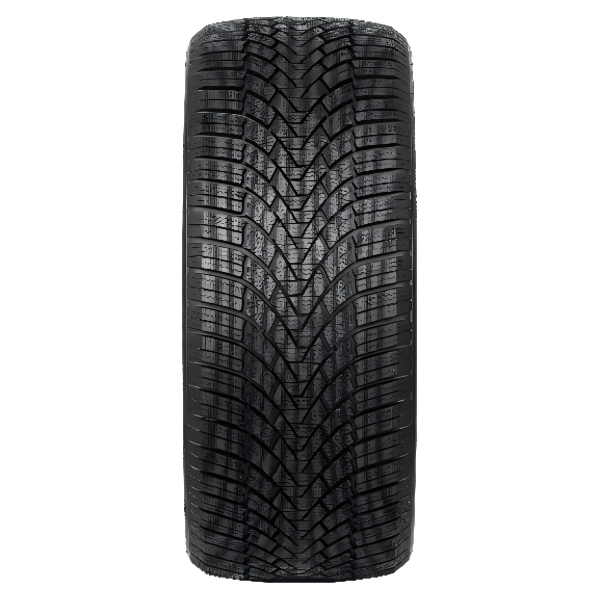 WINTER.WINTERHAWKE 1– Neumático de Invierno para Máxima Tracción en Hielo y Nieve